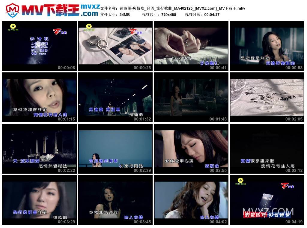 孙淑媚-痴情歌_台语_流行歌曲_MA402125